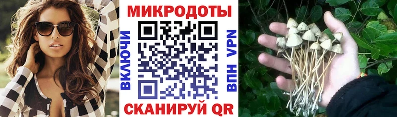 где продают   Черепаново  Псилоцибиновые грибы прущие грибы 
